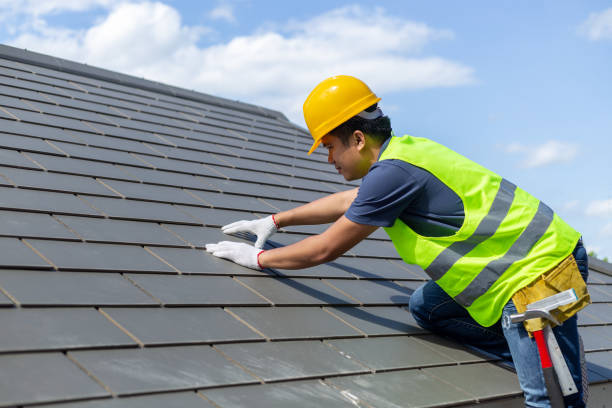 Best Flat Roof Repair Services  in Johnson Lane, NV
