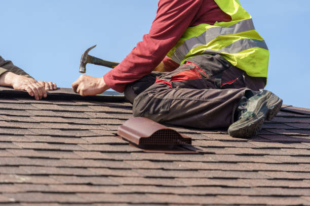 Best Commercial Roofing Services  in Johnson Lane, NV