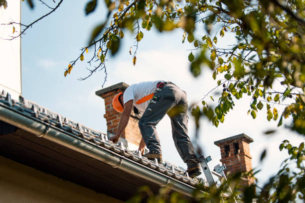 Best Metal Roofing Contractor  in Johnson Lane, NV