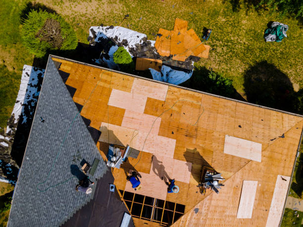 Best Roof Repair Services  in Johnson Lane, NV