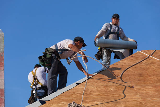 Roof Gutter Cleaning in Johnson Lane, NV