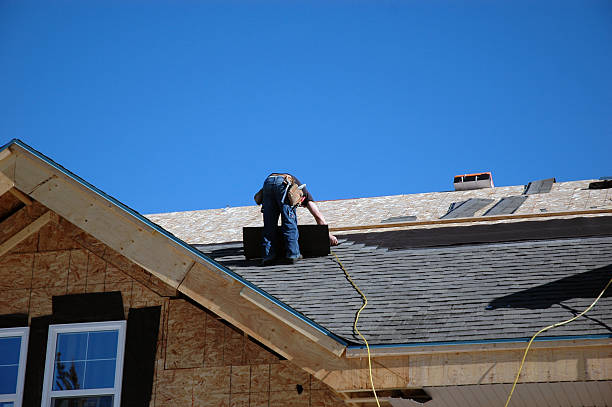 Best Roof Maintenance Services  in Johnson Lane, NV