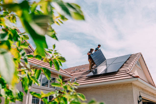 Best Roof Gutter Cleaning  in Johnson Lane, NV