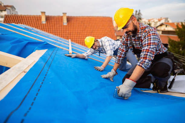 Best Metal Roofing Contractor  in Johnson Lane, NV