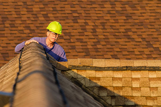 Best Roofing Contractor Near Me  in Johnson Lane, NV