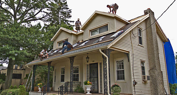 Best Storm Damage Roof Repair  in Johnson Lane, NV