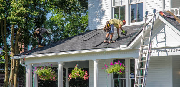 Best Best Roofing Contractors  in Johnson Lane, NV